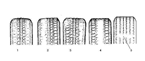 Tire and Wheel Inspection — figure 2