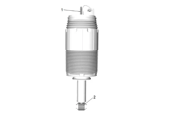 Shock Absorber, Shock Absorber Component, or Spring Replacement (F47) — figure 21